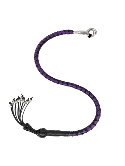 Dream Apparel Get Back Whip Black Leather Motorcycle Accessory